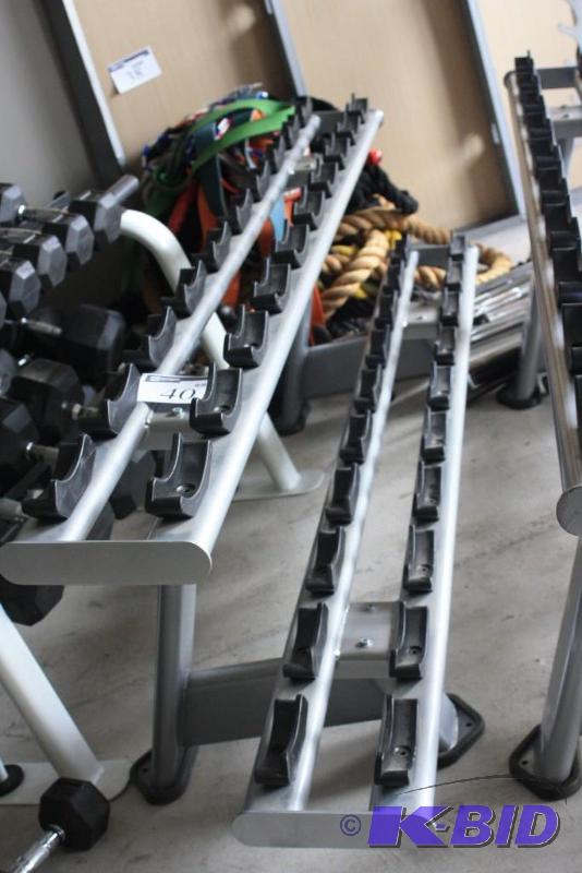lot 40 image: Torque Fitness Two-Tier Rack