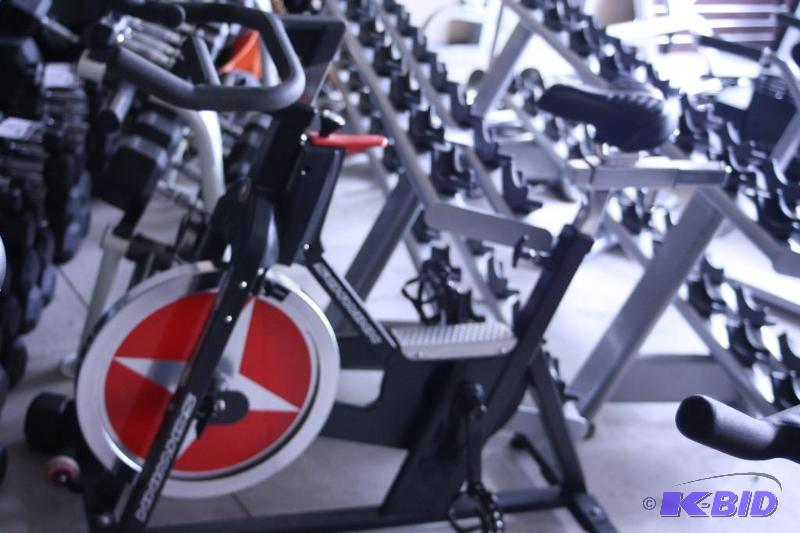 lot 49 image: Schwinn IC Elite Non-electric Staionary bike