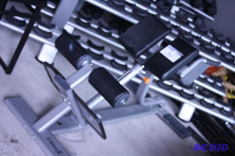 lot 56 image: Torque Fitness Back Extension Bench
