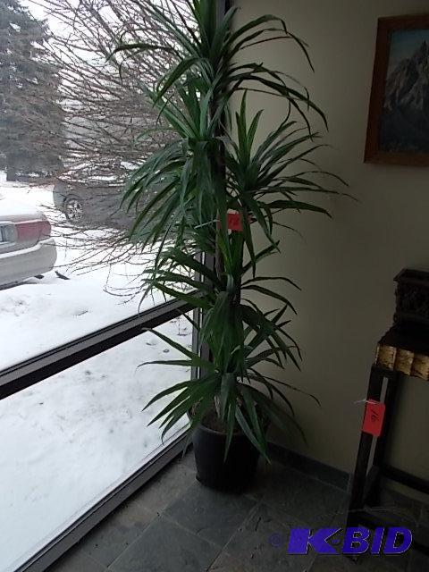 lot 18 image: Decorative Faux Plant...