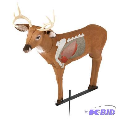 buck target