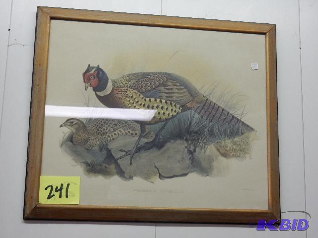 lot 241 image: 2, Pheasant Pictures.. Lithographs.. Wolt and Smit Lithographs