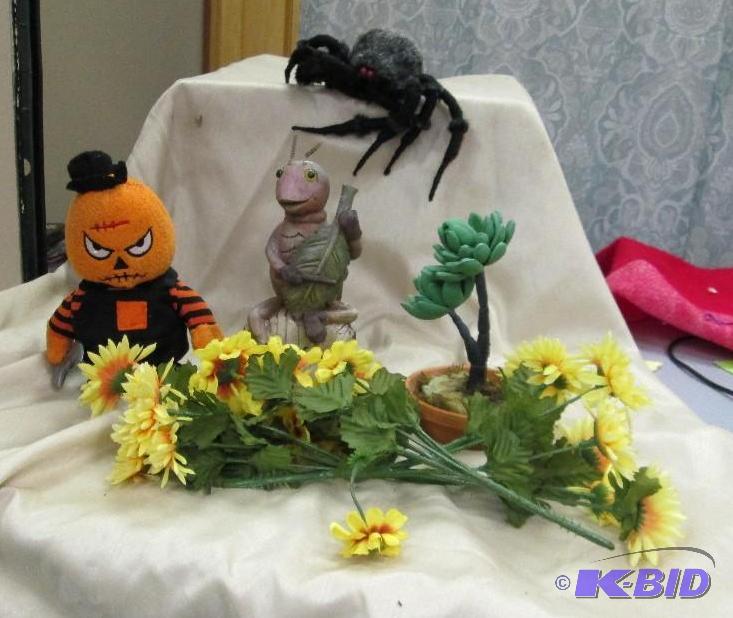 Spider, pumpkin man that mad, Flowers and bug...