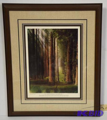 lot 63 image: &quotNo. 3 Redwood Forest G.C. 535 Yards, Pa...