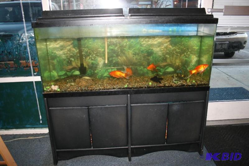 lot 26 image: Aquarium