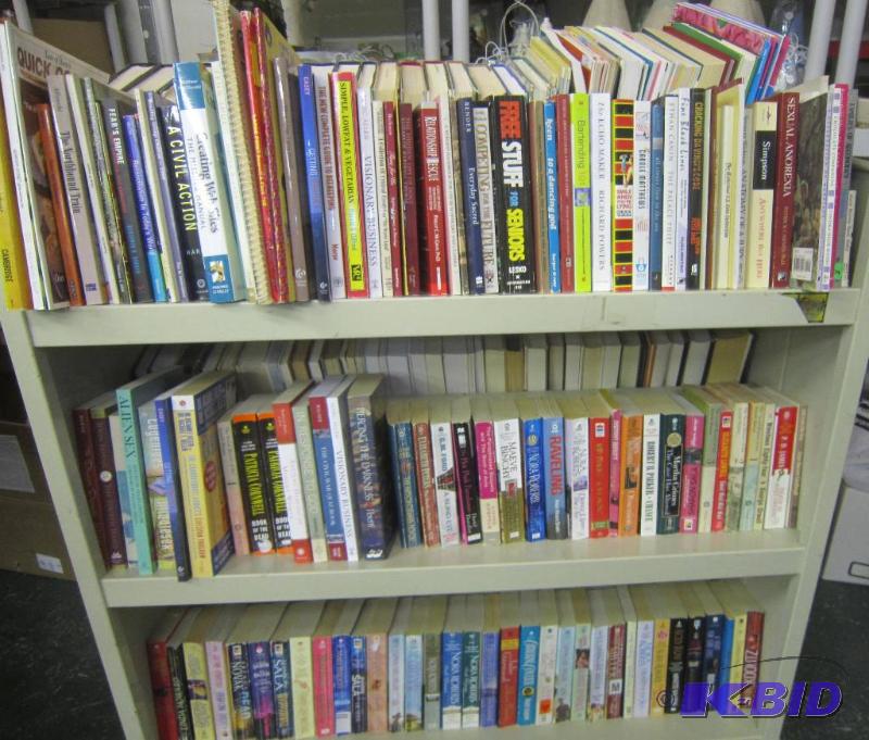 3 Shelves of Paper Back Books - Shelf Not Included