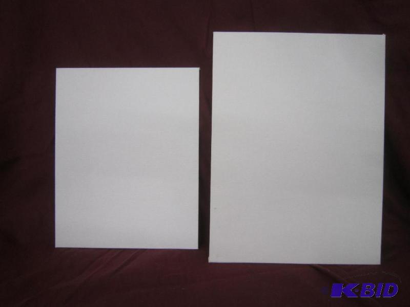 2 Canvas Panels - 8 x 10 and 9 x 12