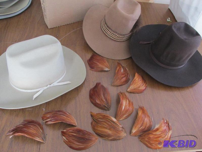 lot 106 image: 3 Western Hats and a BUNCH (11) Feather Things for the hats