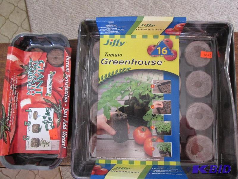 lot 20 image: Small Beginnings for Tomatoe Plants