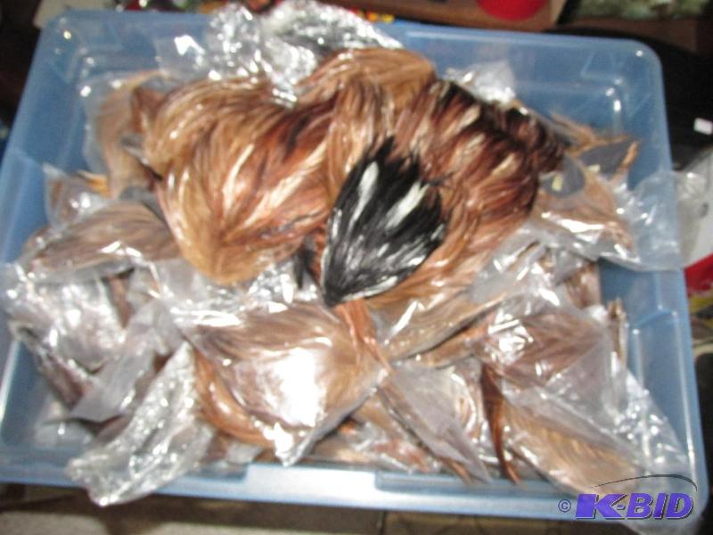 lot 255 image: More Feathers for your Bonnet - or Western Hat