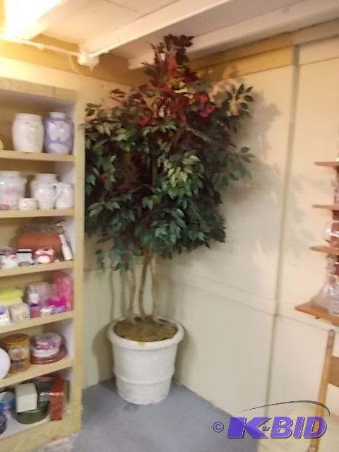 8 Potted Tree This Item Is Very Heavy, Brin...