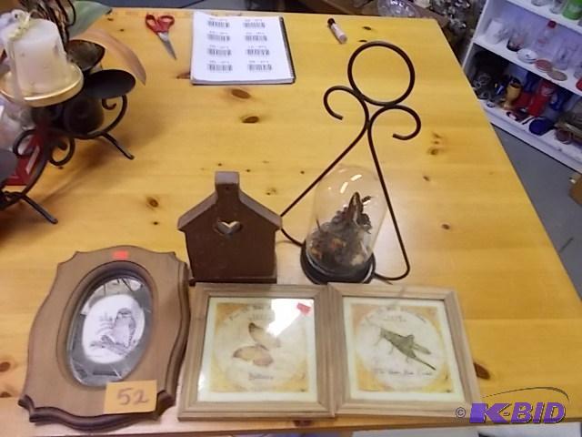 Butterfly Under Glass Dome, 2-Nature Pictures...