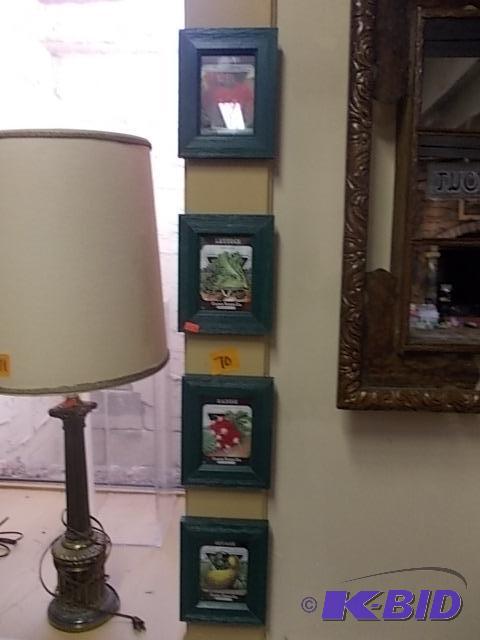 4-Framed Seed Pictures...