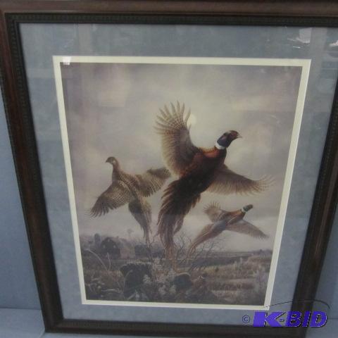 lot 39 image: Royal Flush Pheasant Framed Print