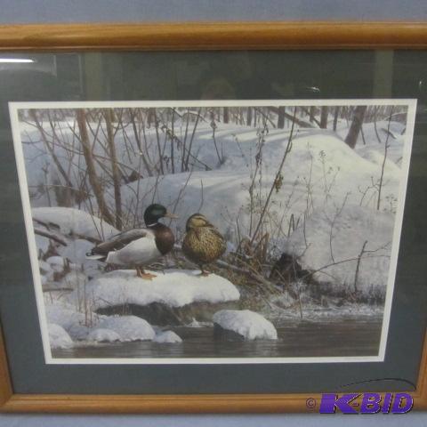 lot 40 image: Resting Easy Mallard Framed Print
