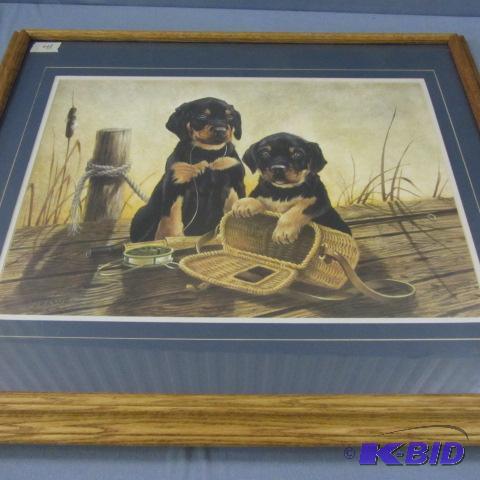 lot 41 image: Empty Catch Puppy Framed Print