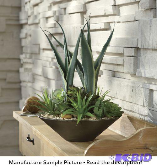 lot 131 image: Forever Green Plant - Lauded for their range ...