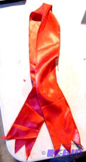 lot 199 image: Set of 9 Red Ribbon Strips - Has velcro tabs ...