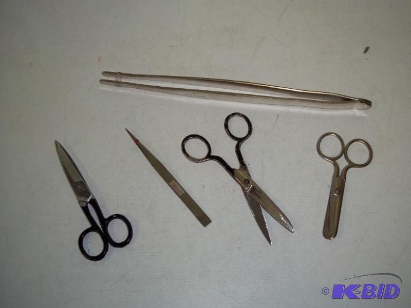 lot 61 image: Large forceps tweezers and scissors...