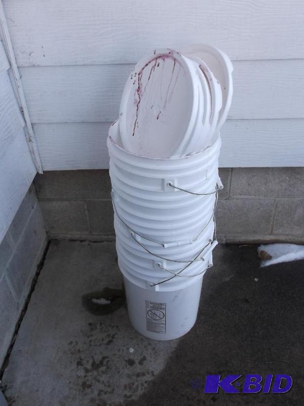 lot 133 image: Lot with 5 - 5 gallon food grade pails with l...