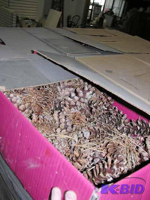 Medium Pine Cones
