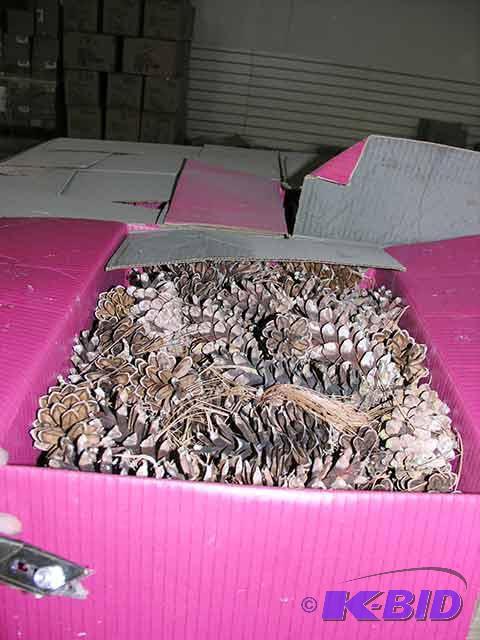 Pine Cones