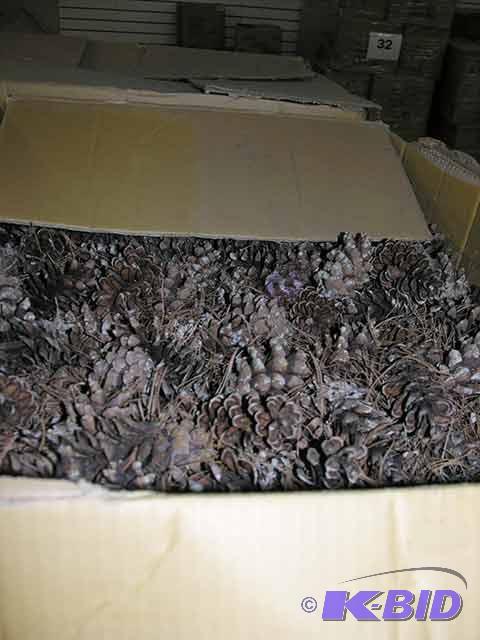 Pine Cones
