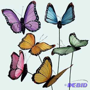 Butterfly Garden
