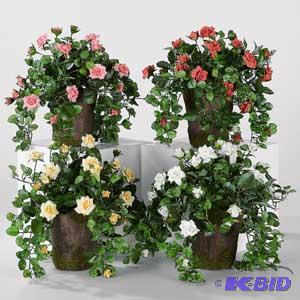Crown Rose Planter