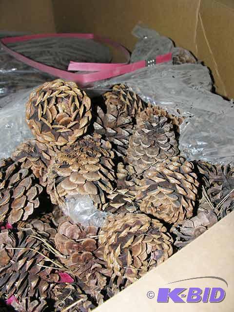 Bulk Pine Cones