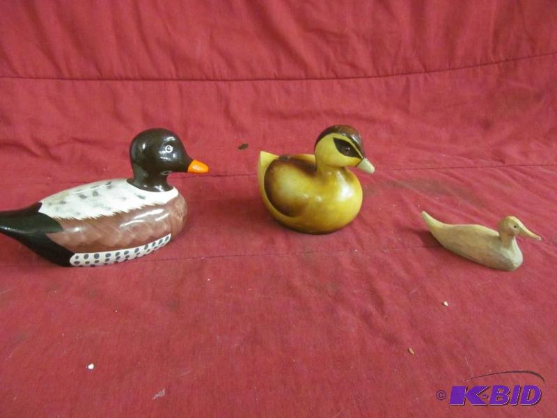 Ducks