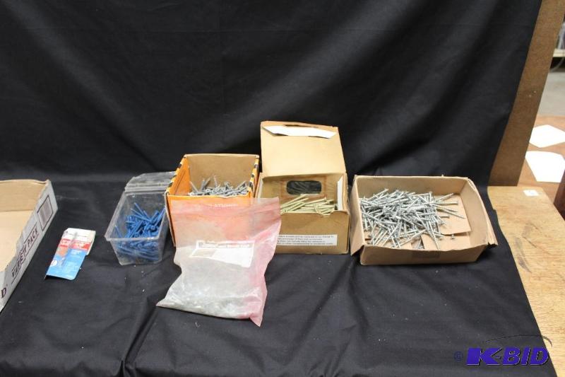 lot 244 image: Large Lot of Screws ...