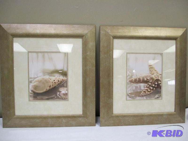 Lot of 2 sea shell pictures with beautiful gold brush frame