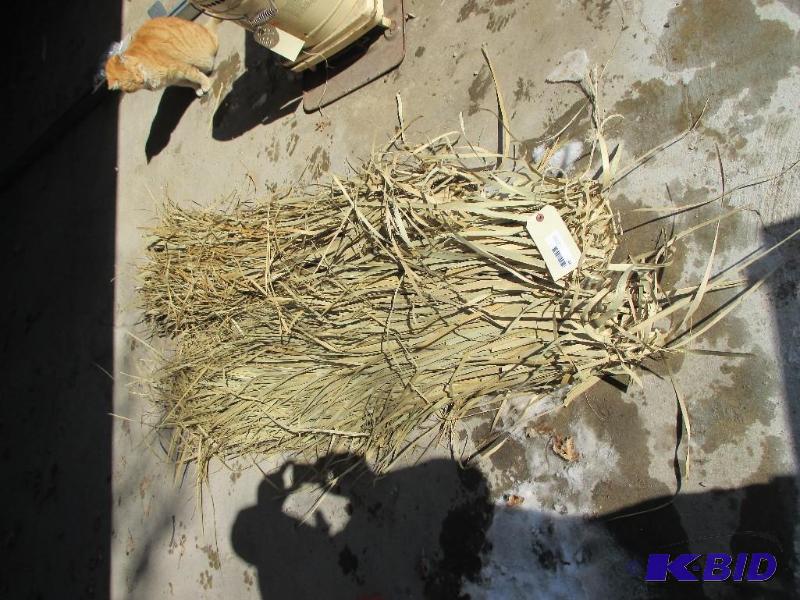 lot 64 image: duck boat reed grass...
