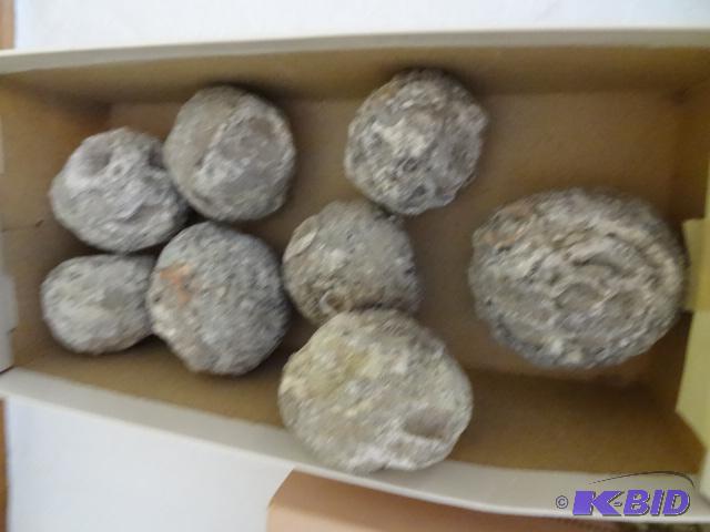 8 Solid Geodes...