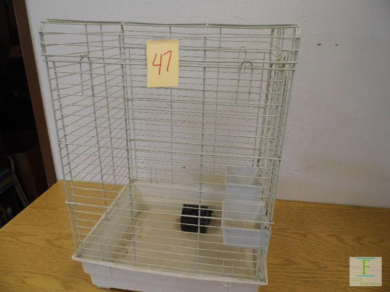 Bird Cage