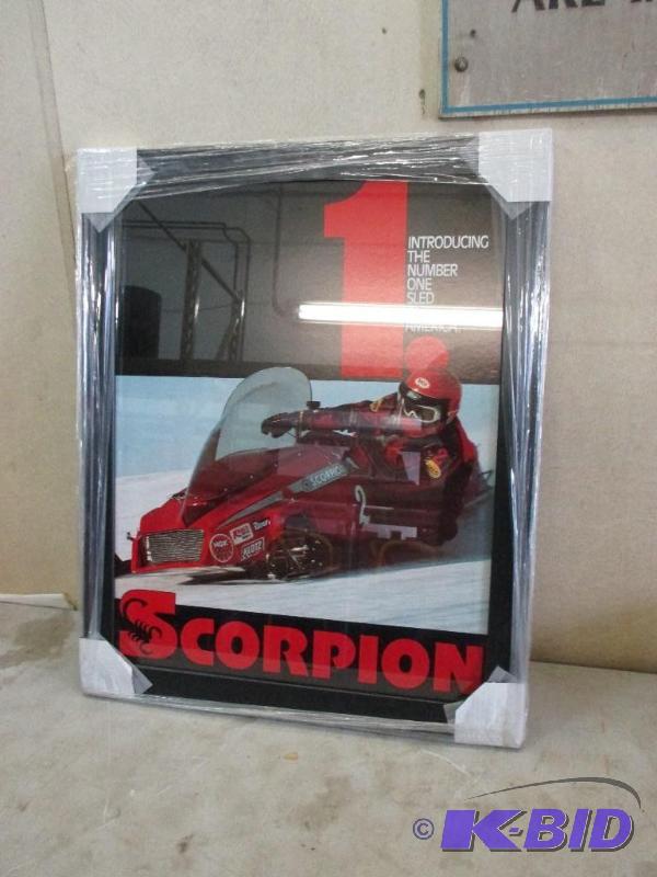 Scorpion print...