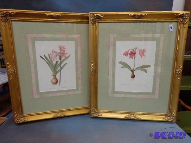 lot 75 image: Amaryllis Pictures   (2) 24 X 20 ...