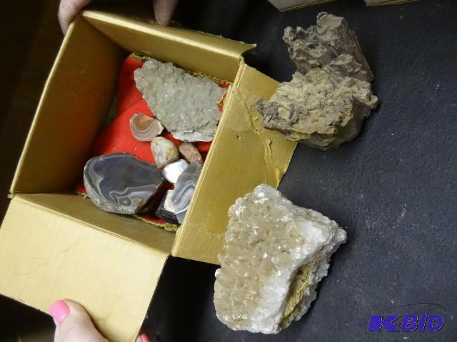 lot 89 image: Misc Stone and Petrified Wood...
