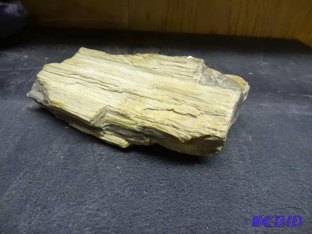 lot 93 image: Large Chunk of Petrified Wood...