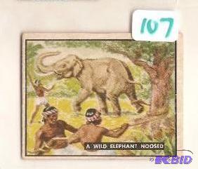 1950 Trading Card Bring Em Back Alive