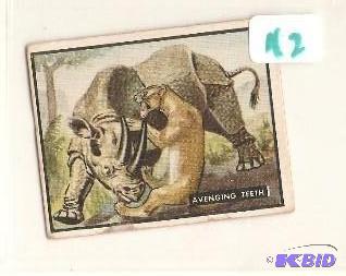 1950 Trading Card Bring Em Back Alive