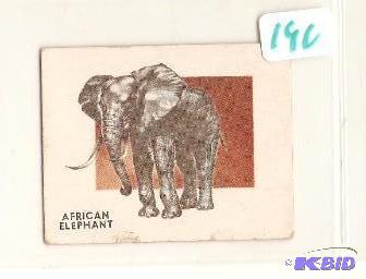1951 Animals of the World Trading Card