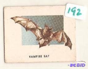 1951 Animals of the World Trading Card