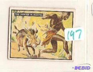 1950 Trading Card Bring Em Back Alive