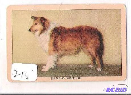 1949 Sgt. Preston Challenge of the Yukon Dog Card