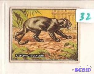 1950 Trading Card Bring Em Back Alive