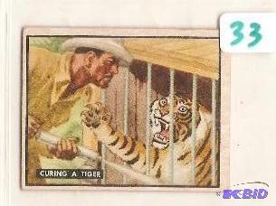 1950 Trading Card Bring Em Back Alive