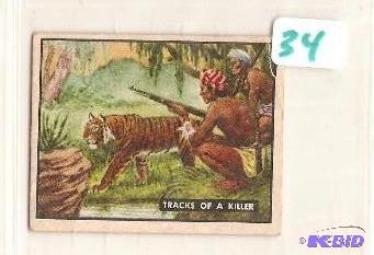 1950 Trading Card Bring Em Back Alive