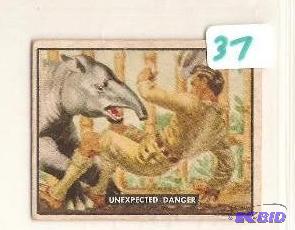 1950 Trading Card Bring Em Back Alive